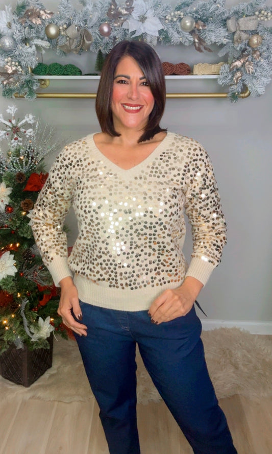 Italian Sequins Pullover
